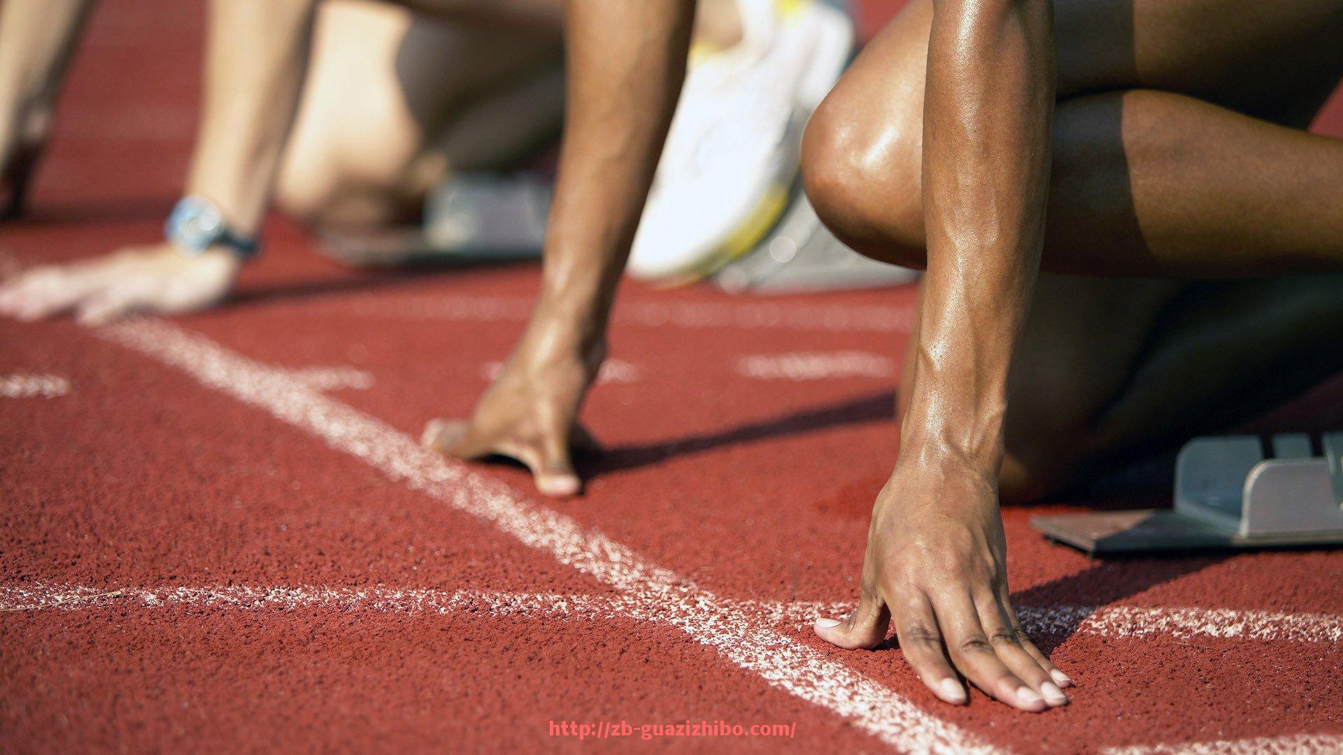 瓜子直播-必确健身器材品牌评测与适合人群详细指南